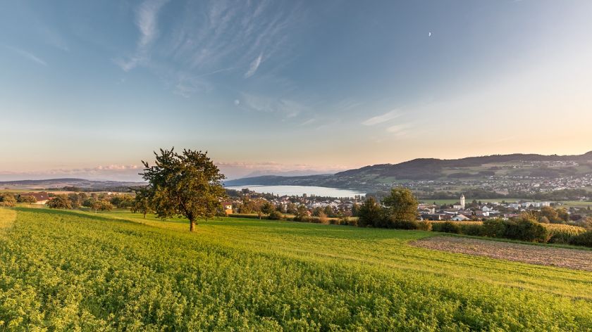 HEV Aargau unterstützt Anpassung an den Sachplan Fruchtfolgeflächen mit Vorbehalten